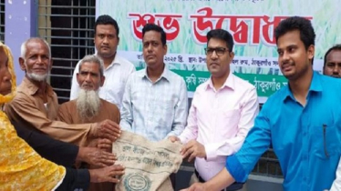 ঠাকুরগাঁওয়ে কৃষকদের বিনামূল্যে বীজ ও রাসায়নিক সার বিতরণ 