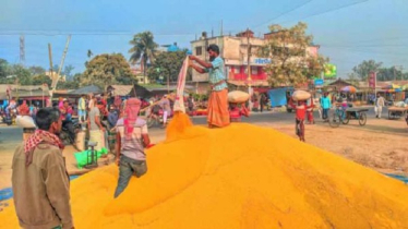 বগুড়ায় জমে উঠেছে সরিষার হাট, বাজারমূল্য বেশি পাওয়ায় কৃষকরা খুশি