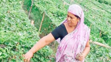 ডুমুরিয়ায় বিধবা নারী তপু বিশ্বাস সবজি চাষে স্বাবলম্বী