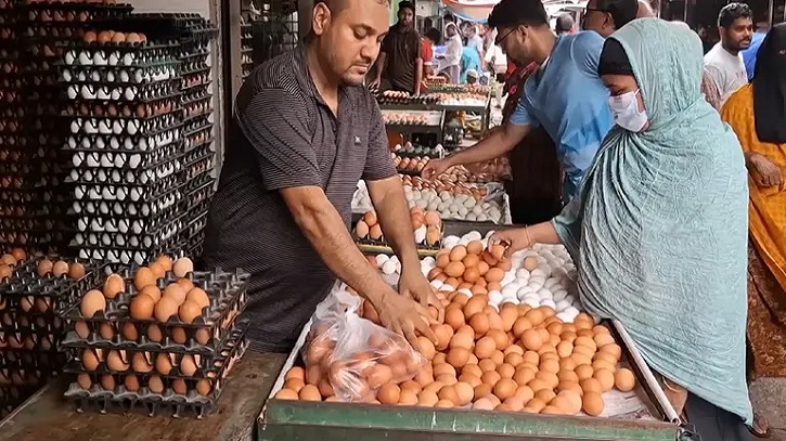 দাম কমলেও উৎপাদন খরচ বেড়েছে ডিমের; দিশেহারা খামারিরা দাম কমলেও উৎপাদন খরচ বেড়েছে ডিমের; দিশেহারা খামারিরা