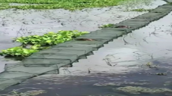অবৈধ জালের ব্যবহারে মা মাছ ও পোনা ধ্বংস ,বিপদের মুখে মৎস্য সম্পদ অবৈধ জালের ব্যবহারে মা মাছ ও পোনা ধ্বংস ,বিপদের মুখে মৎস্য সম্পদ
