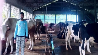 ভাগ্য পরিবর্তন করে স্থাপন করেছেন সাফল্যের উজ্জ্বল দৃষ্টান্ত