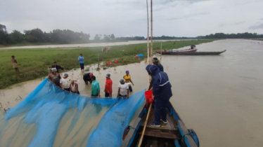 কাপ্তাই লেকে কার্পজাতীয় মাছের পঞ্চম প্রজননক্ষেত্রের সন্ধান