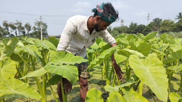 আজিজুলের জীবনের মোড় বদলে দেয় ইউটিউব