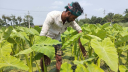 আজিজুলের জীবনের মোড় বদলে দেয় ইউটিউব