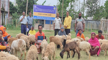 ভেড়া পালন করে স্বনির্ভর রাজশাহীর নারীরা