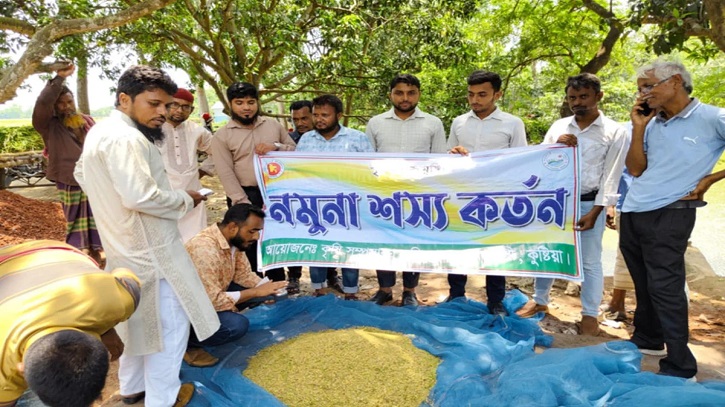ব্রিধান-৯২ চাষ, বিঘাপ্রতি ফলন ২৯ মণ