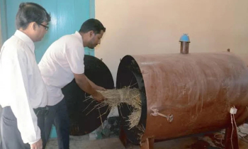 Sustainable Agriculture’s New Ally: BINA Biochar