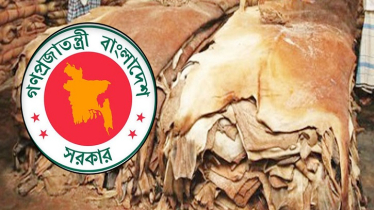 Commerce Ministry Announces Sacrificial Hide Rates
