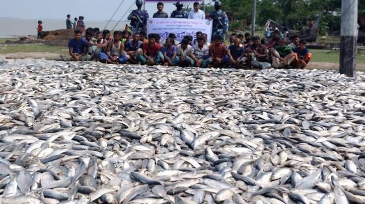 CoastGuard Seizes 150 Maunds of Illegal Hilsa in Hatiya, Noakhali CoastGuard Seizes 150 Maunds of Illegal Hilsa in Hatiya, Noakhali