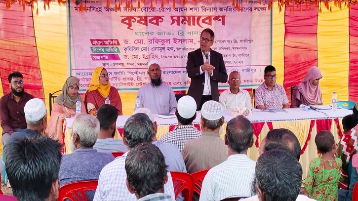 এক জমি থেকেই বছরে মিলবে তিন ফসল: ব্রি