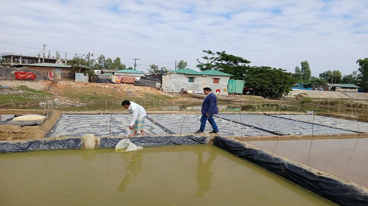 মৎস্য খাতে নতুন সম্ভাবনা, আর্টিমিয়া-লবণের সমন্বিত চাষে চবির সাফল্য