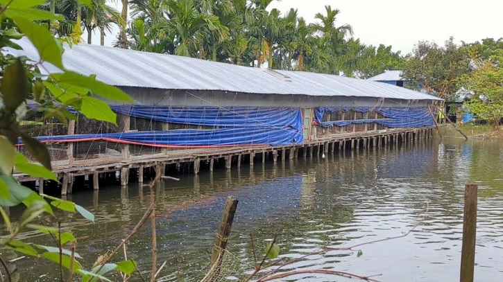 মাছ, মুরগি ও গাভি পালন করে মাসেই আয় দুইলাখ টাকা রাজিব কর্মকারের 