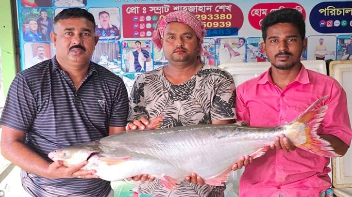 পদ্মার এক পাঙাশ ৬৭ হাজার টাকায় বিক্রি