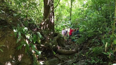 পাড়াবন জীববৈচিত্র্য রক্ষায় ‘রোল মডেল’ হতে পারে পাড়াবন জীববৈচিত্র্য রক্ষায় ‘রোল মডেল’ হতে পারে