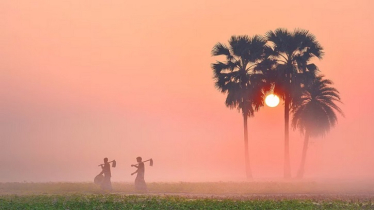 তেঁতুলিয়ায় সর্বনিম্ন তাপমাত্রা ১৪ দশমিক ৫ ডিগ্রি সেলসিয়াস রেকর্ড