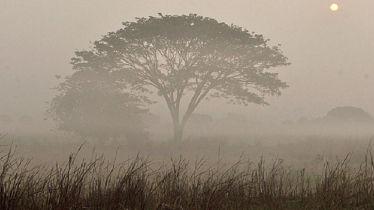 শীত নামবে কবে, জানাল আবহাওয়া অফিস শীত নামবে কবে, জানাল আবহাওয়া অফিস