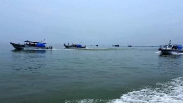 ইলিশ রক্ষায় জাটকা শিকারে নিষেধাজ্ঞা আজ থেকে শুরু ইলিশ রক্ষায় জাটকা শিকারে নিষেধাজ্ঞা আজ থেকে শুরু