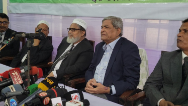 মনোনয়ন ঘিরে বিচ্ছিন্ন ঘটনা প্রমাণ করে বিএনপি একটি বড় দল: মির্জা ফখরুল