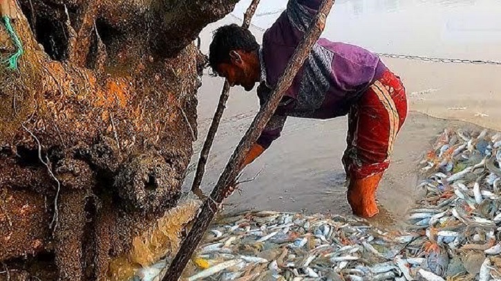সুন্দরবনে বিষ দিয়ে মাছ ধরা নিয়ে সংঘর্ষ, আহত ১৩