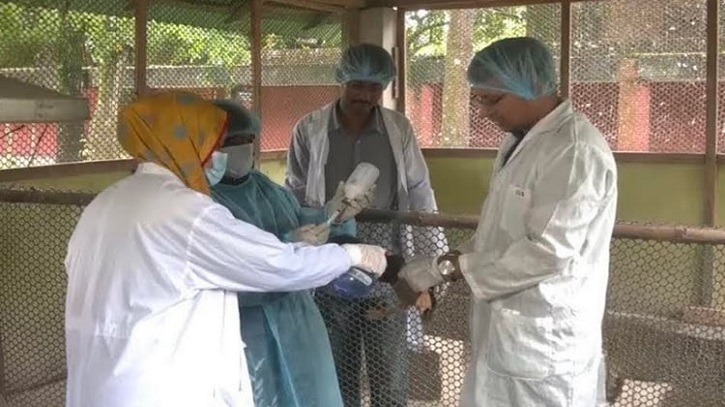 BAU Develops Two New Vaccines for Duck Plague