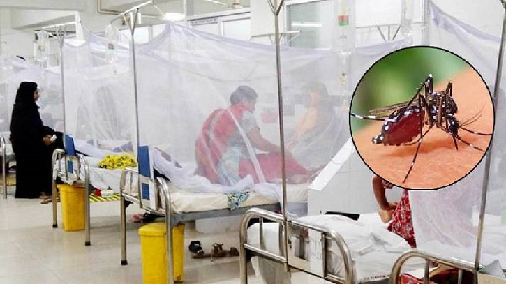 Two More Die, 1,179 Hospitalised with Dengue