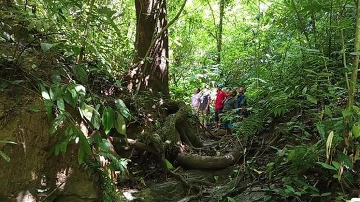 Khagrachhari’s Community Forest Emerges as Model