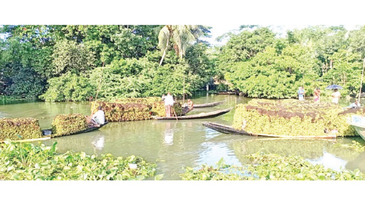 Bangladesh’s 200-Year-Old Floating Market Thrives