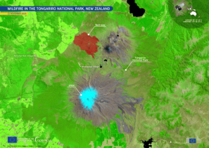 Wildfire Ravages 3,000 Hectares in Tongariro National Park
