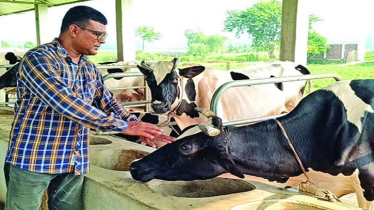 From Two Cows to 115: Teacher’s Dairy Success