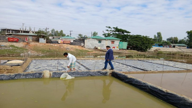 CU Team Opens Path for Artemia and Salt Co-Production