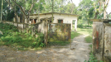 Pabna Hatchery Lies Abandoned as Theft Halts Operations