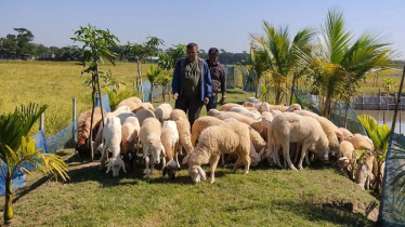 Ex-Migrant Worker Builds Major Agro Farm in Kachua