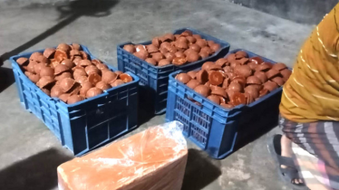 Chemicals Found in Fake Molasses; Five Units Penalized