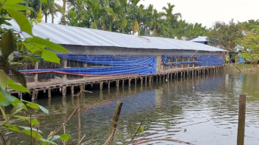 Young Entrepreneur Transforms Life Through Farming Young Entrepreneur Transforms Life Through Farming