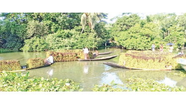 Bangladesh’s 200-Year-Old Floating Market Thrives Bangladesh’s 200-Year-Old Floating Market Thrives