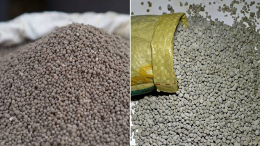 Fertiliser Shortage Alarms Farmers in Shibalaya