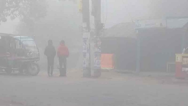 Temperature Drops to 12°C in Tetulia as Winter Nears