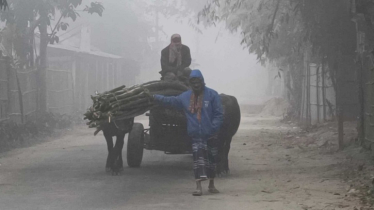 Panchagarh Shivers as Temperature Drops to 14.2°C