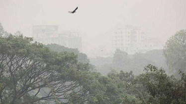 Dhaka Records 19.6°C as Mild Winter Feeling Grows Dhaka Records 19.6°C as Mild Winter Feeling Grows