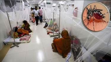 Dengue claims five more lives, toll rises to 288