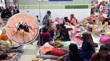 Four people have died from dengue in the past 24 hours across Ban