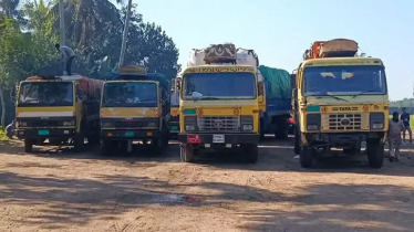 Bangladesh Fish Exports to India Halted at Akhaura Port