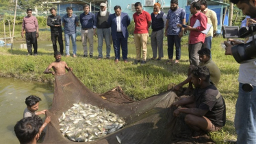 Aerator Innovation Triples Tilapia Output: NOBIPROBI Study Aerator Innovation Triples Tilapia Output: NOBIPROBI Study