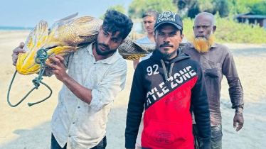 Rare 32.8kg Poppah Fish Caught Off Saint Martin’s Island