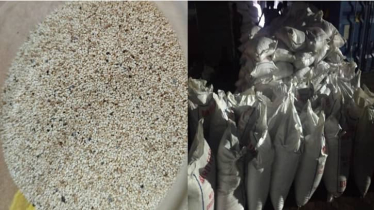 Customs Seizes Banned Poppy Seeds from Pakistan Shipment
