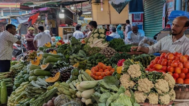 Khulna Sees Record Winter Vegetable Production