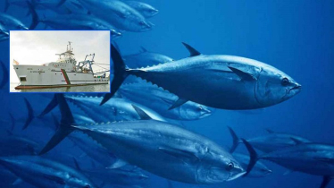 Bangladesh’s Tuna Fishing Dream Sinks in Deep Sea Bangladesh’s Tuna Fishing Dream Sinks in Deep Sea