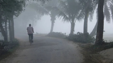 Cold Intensifies in Panchagarh as Temperature Drops to 12.8°C Cold Intensifies in Panchagarh as Temperature Drops to 12.8°C