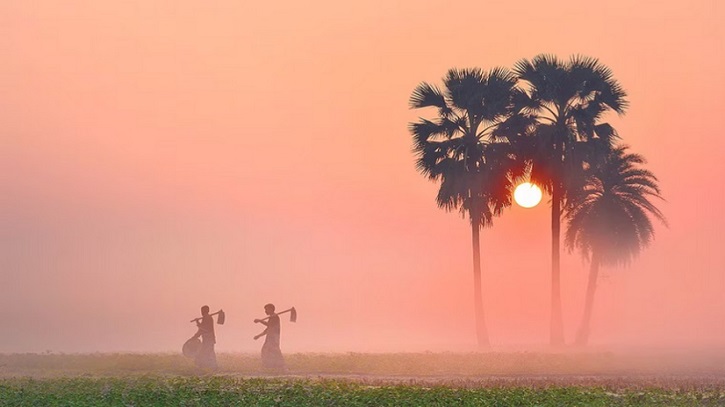 Winter Chill Begins to Touch Panchagarh